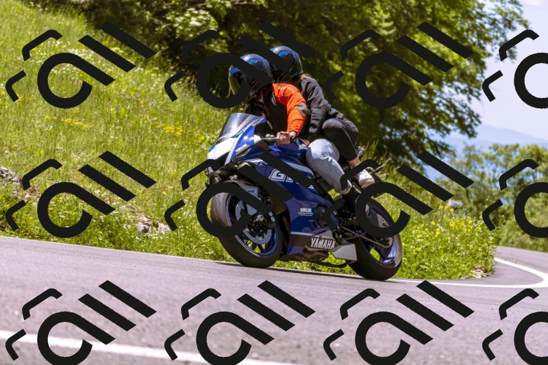 202506011237_DSC7063_d1_