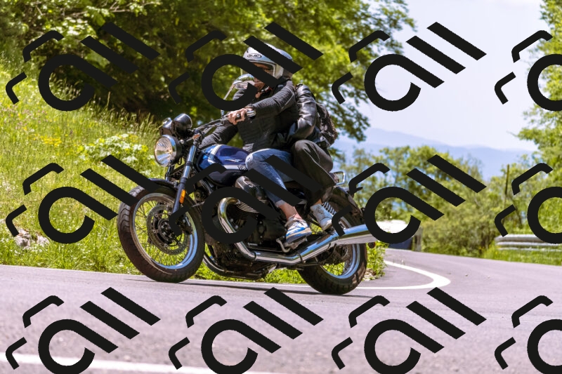 202506011245_DSC7091_d1_