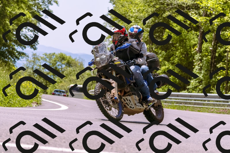 202506011246_DSC7097_d1_