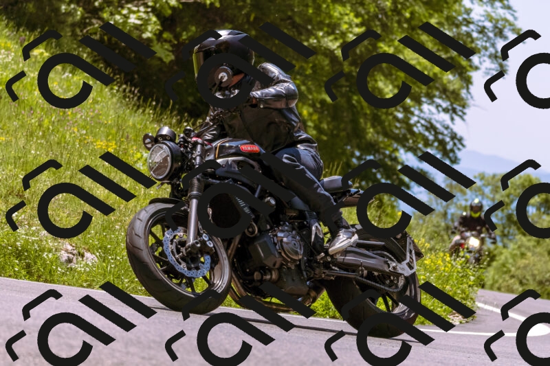 202506011248_DSC7107_d1_