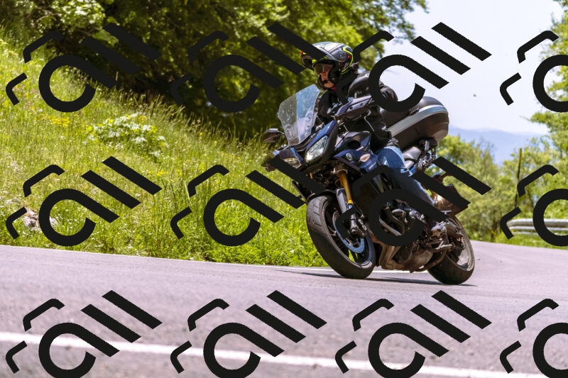 202506011250_DSC7113_d1_