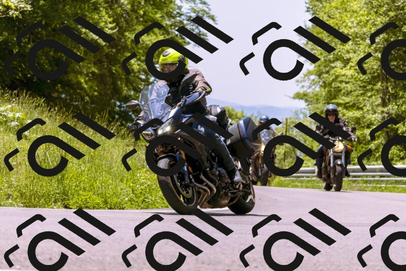 202506011250_DSC7115_d1_