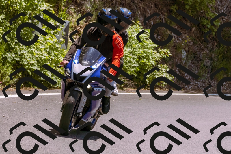 202506011252_DSC7126_d1_