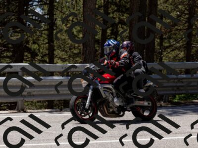 202505311320-_04A6310-2_c3_