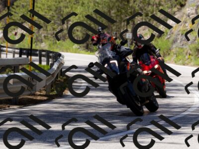 202505311322-_04A6325-2_c3_