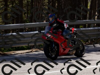 202505311335-_04A6441-2_c3_