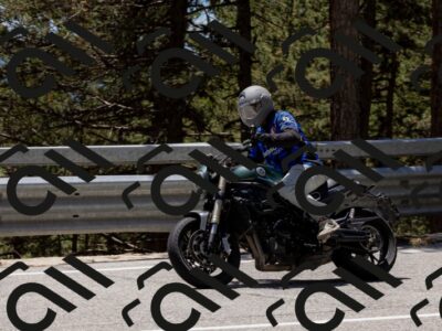 202505311335-_04A6461-2_c3_