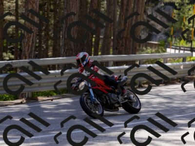 202505311529-_04A7173-2_c3_