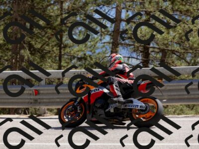 202505311551-_04A7313-2_c3_