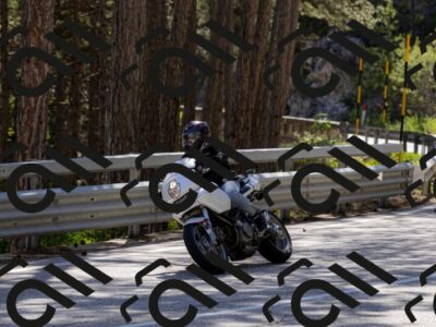 202505311554-_04A7332-2_c3_