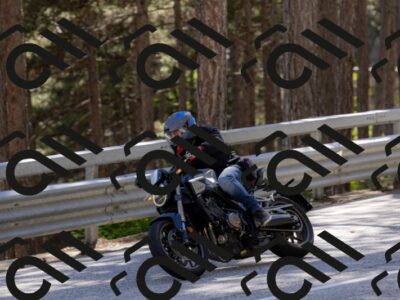 202505311556-_04A7353-2_c3_