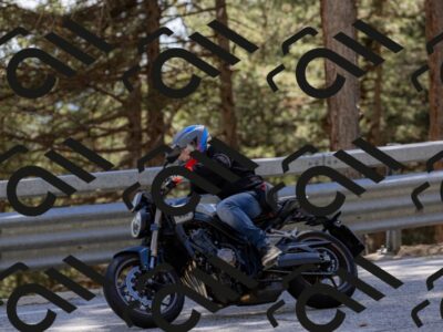 202505311556-_04A7354-2_c3_