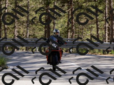 202505311631-_04A7643-2_c3_