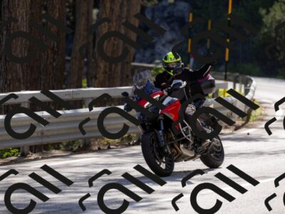 202505311648-_04A7848-2_c3_