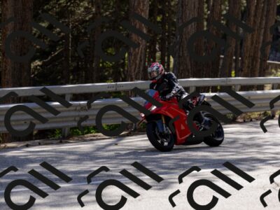 202505311649-_04A7865-2_c3_