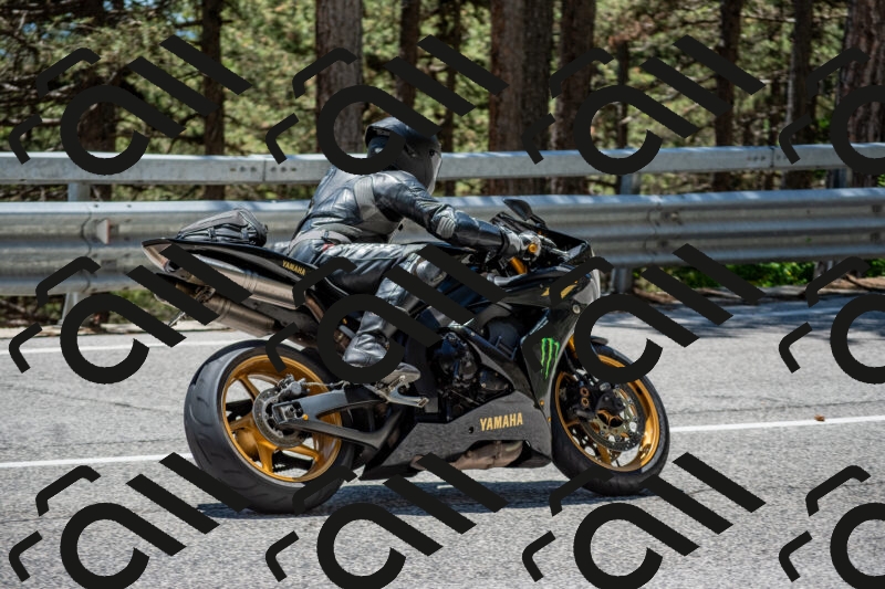 202506011256-DSC_5267_c4_