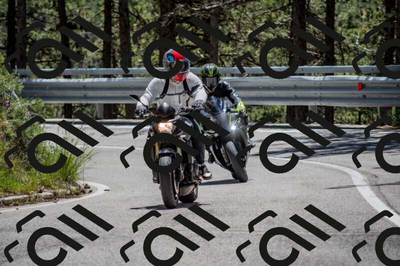 202506011256-DSC_5268_c4_