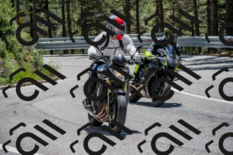 202506011256-DSC_5271_c4_