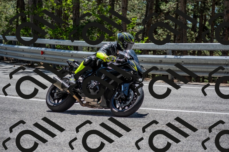 202506011256-DSC_5272_c4_