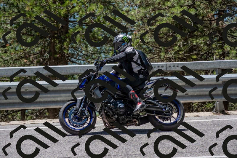 202506011256-DSC_5274_c4_