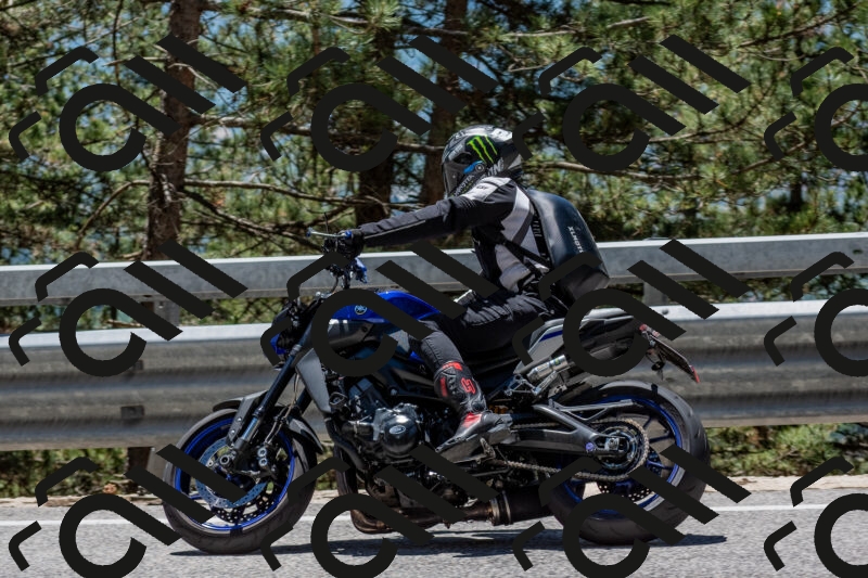 202506011256-DSC_5275_c4_