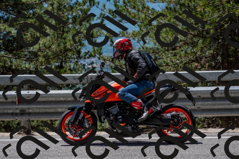 202506011256-DSC_5277_c4_