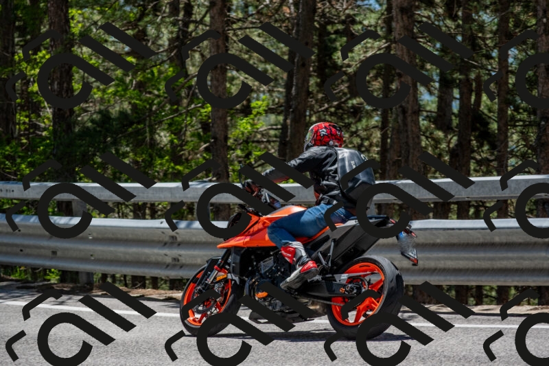 202506011256-DSC_5278_c4_