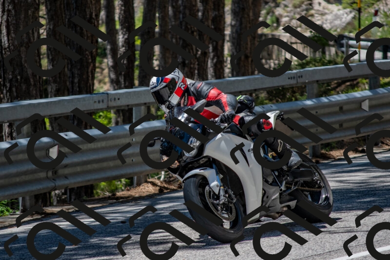 202506011257-DSC_5279_c4_