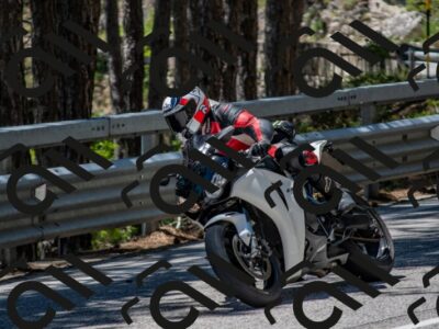 202506011257-DSC_5279_c4_