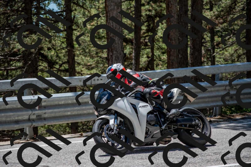 202506011257-DSC_5280_c4_