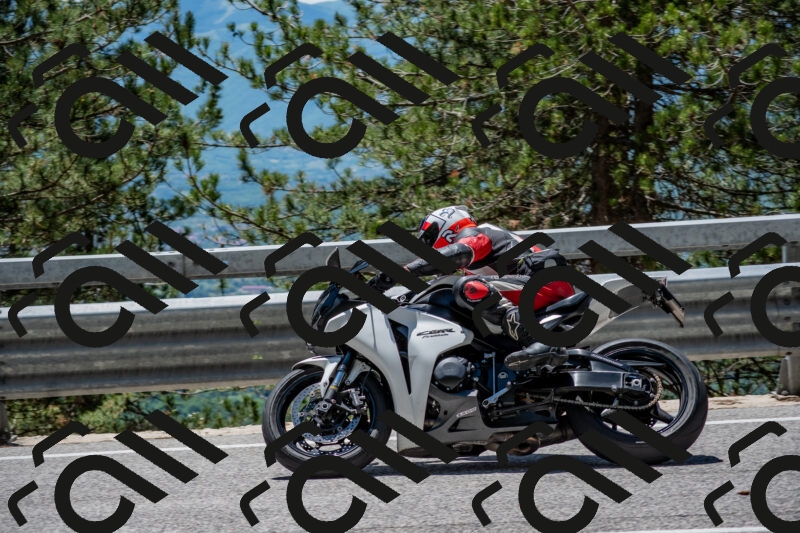 202506011257-DSC_5281_c4_