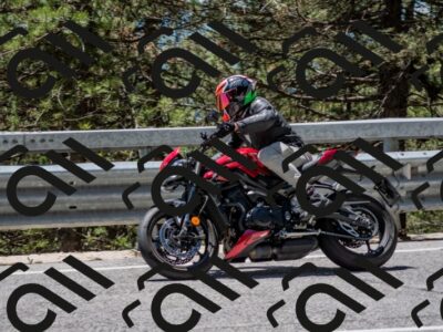 202506011257-DSC_5282_c4_