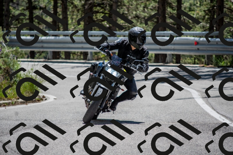 202506011257-DSC_5285_c4_