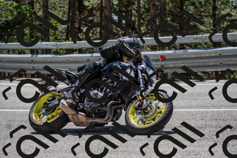 202506011257-DSC_5287_c4_