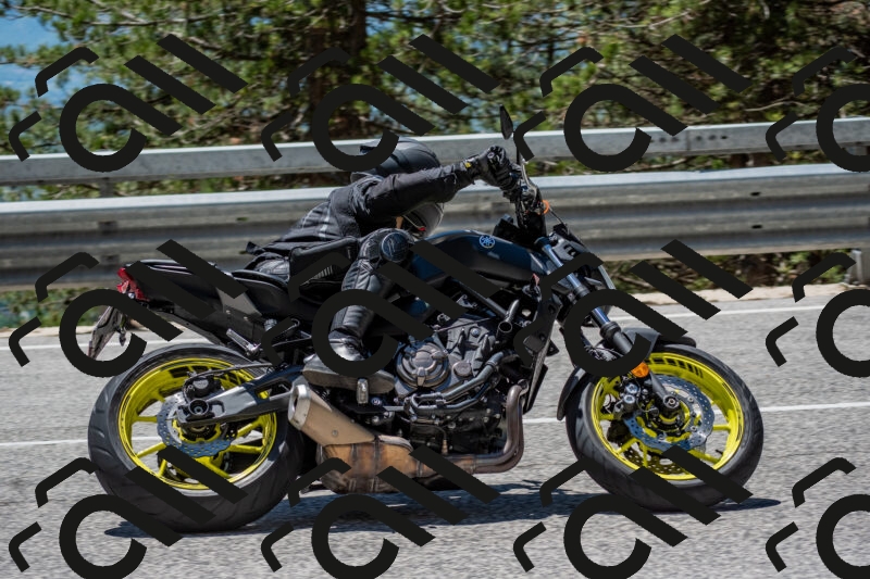 202506011257-DSC_5288_c4_