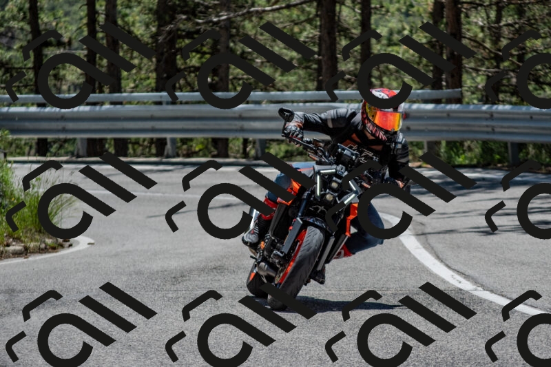 202506011257-DSC_5290_c4_