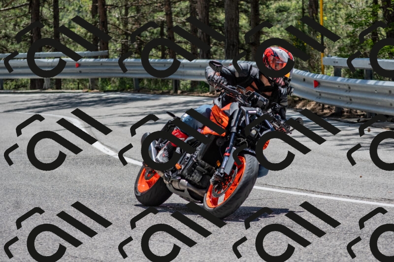 202506011257-DSC_5291_c4_