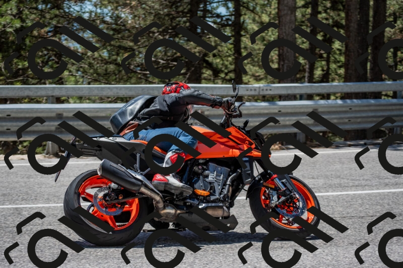 202506011257-DSC_5293_c4_