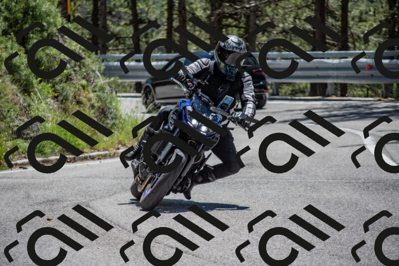 202506011257-DSC_5294_c4_