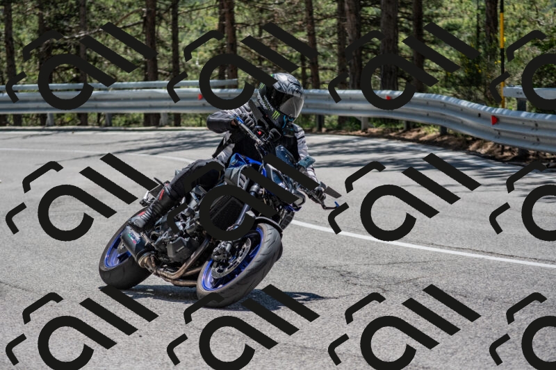 202506011257-DSC_5295_c4_