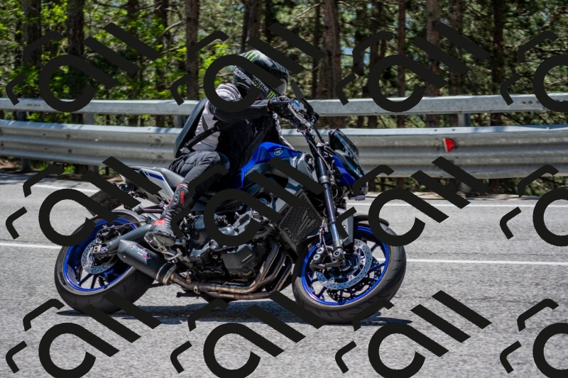 202506011257-DSC_5296_c4_