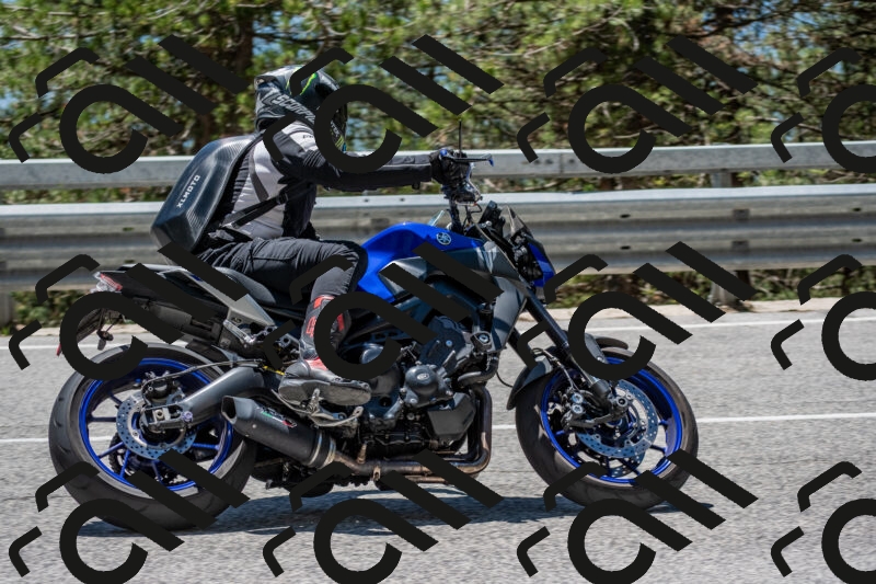 202506011257-DSC_5297_c4_