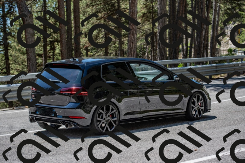 202506011259-DSC_5304_c4_