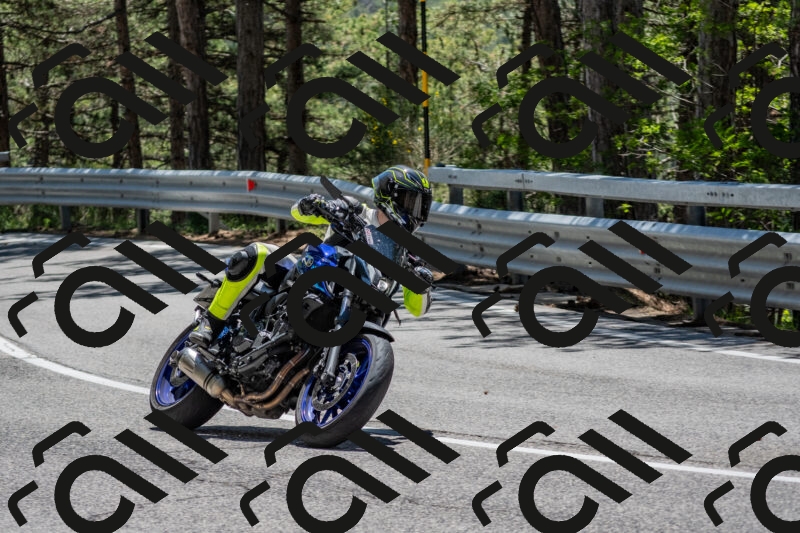 202506011300-DSC_5309_c4_