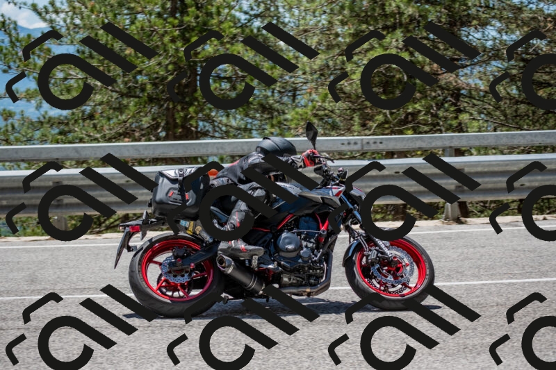 202506011300-DSC_5312_c4_