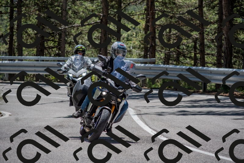 202506011300-DSC_5314_c4_