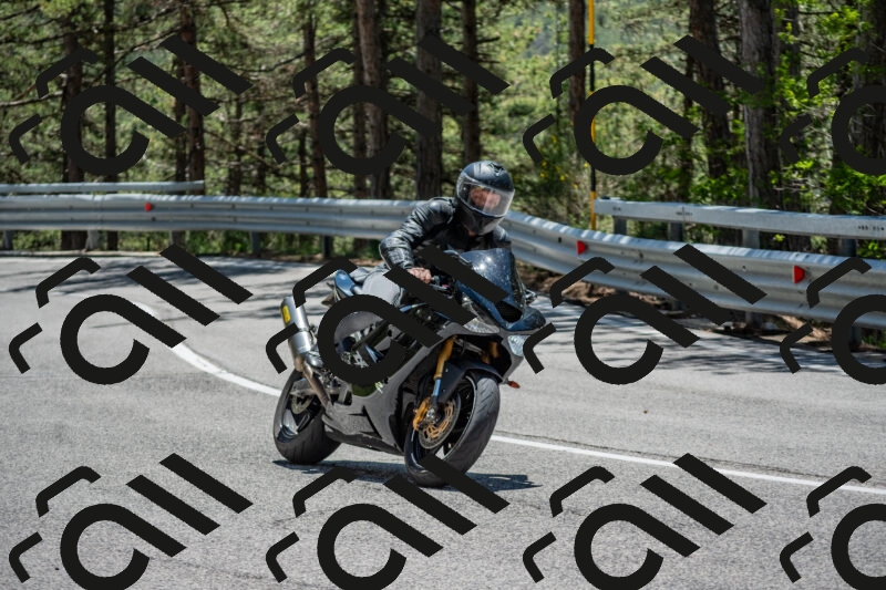 202506011300-DSC_5319_c4_