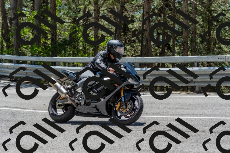 202506011300-DSC_5320_c4_