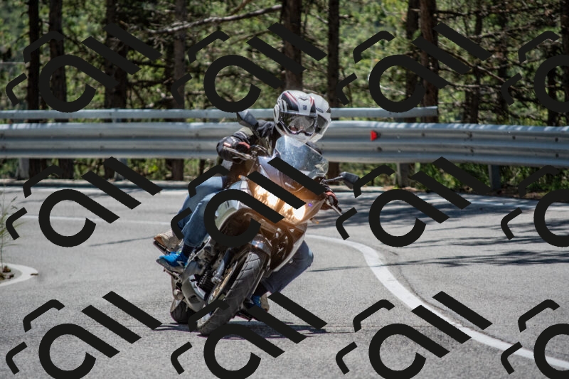 202506011301-DSC_5322_c4_