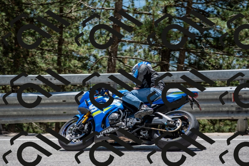 202506011301-DSC_5328_c4_